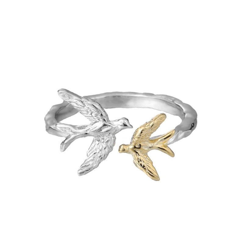 Sidabrinis žiedas Freedom