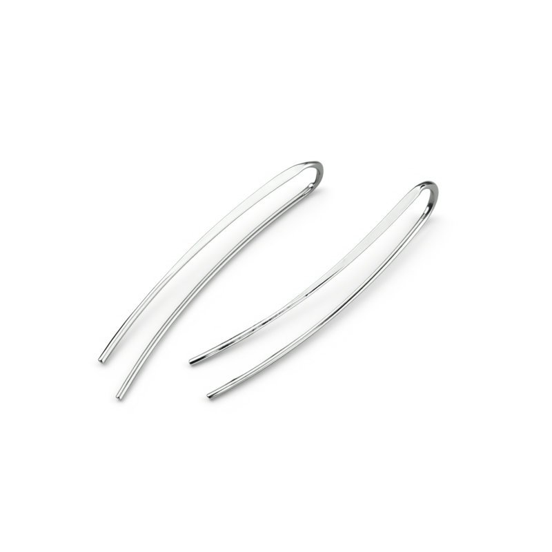 Sidabriniai auskarai Lines