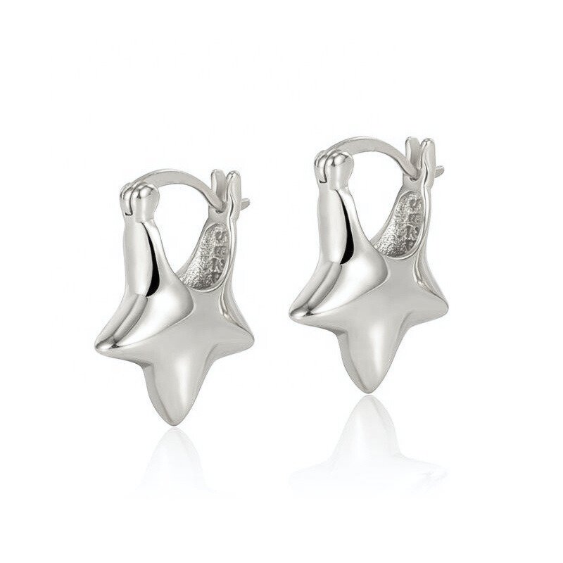 Sidabriniai auskarai Orin