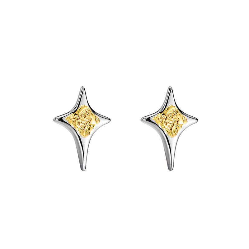 Sidabriniai auskarai Aster