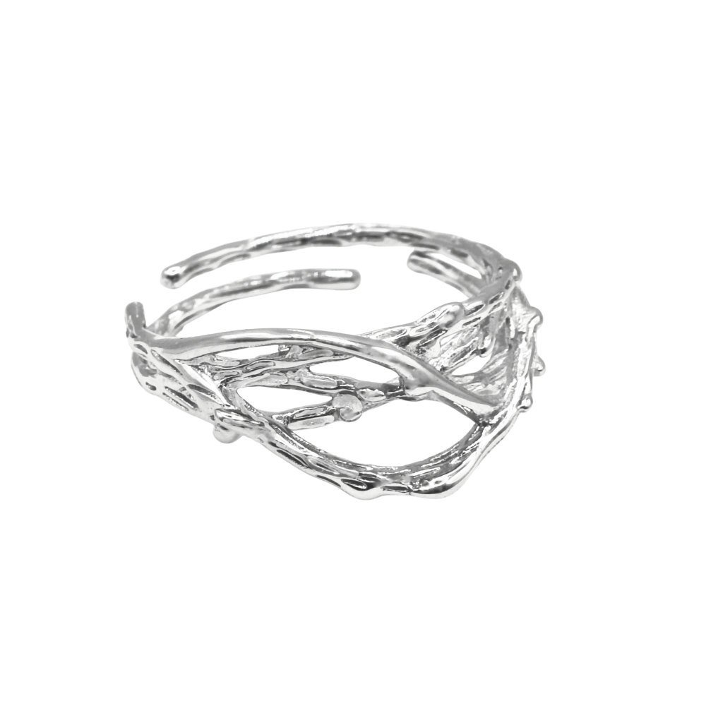 Sidabrinis žiedas Echo