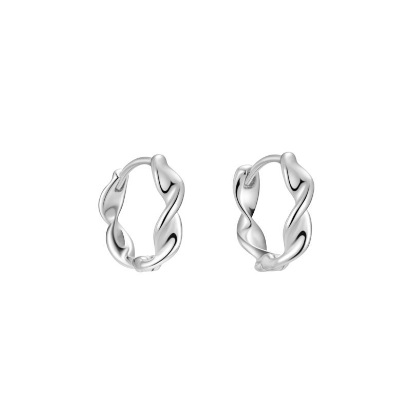 Sidabriniai auskarai Kara