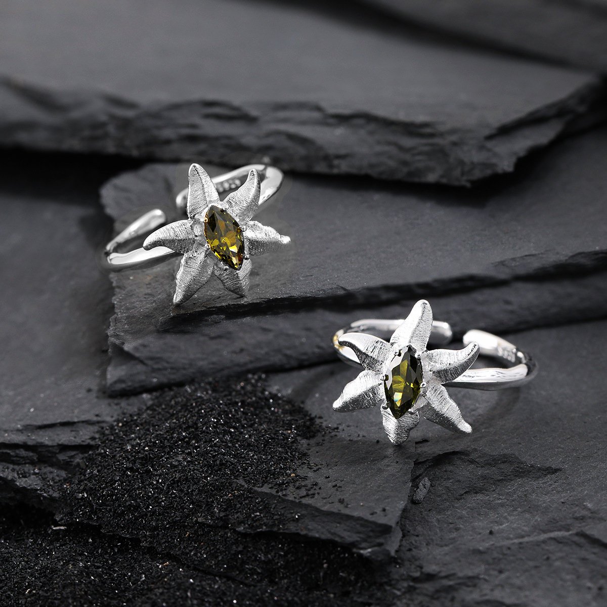 Sidabrinis žiedas Florin 6 sidabriniai žiedai