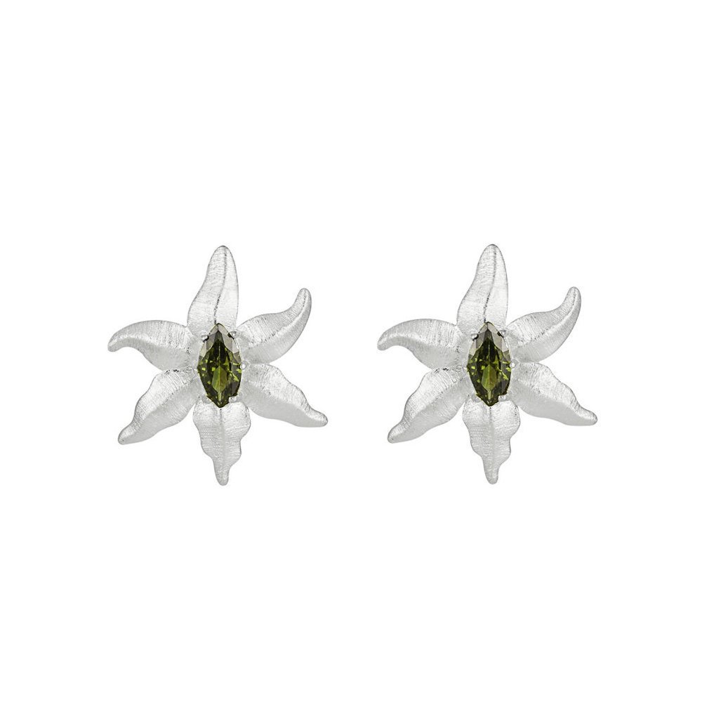 Sidabriniai auskarai Florin